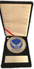 U.S. AIR FORCE HUGE MEDALLION