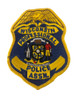 Wisconsin Professional ASSOCIATION POLICE PATCH