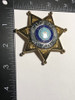 TEXAS DEPUTY SHERIFF STAR BADGE