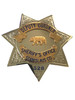 DEPUTY CORONER STANISLAUS CTY CA STAR BADGE