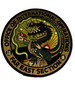 FAR EAST SECTION PATCH