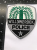 WILLOWBROOK  IL POLICE PATCH FREE SHIPPING