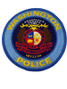 WASHINGTON POLICE MI PATCH