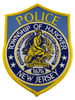 HANOVER TWP POLICE NJ PATCH