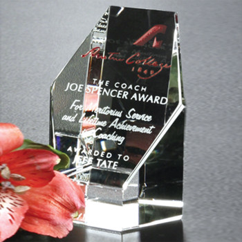 The Citadel Award is ideal for acknowledging strong performance and continued hard work. The flat hexagon face is wonderful for imprinting your personalized message.
