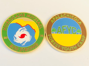 HURRICANE MICHAEL COIN