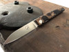 Salamandra Polimero Folding Knife