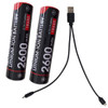 Dual USB 2600mAh 18650 Batteries & Charger Pack