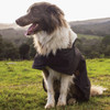 Burke & Wills Oilskin Dog Coat