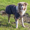 Burke & Wills Oilskin Dog Coat