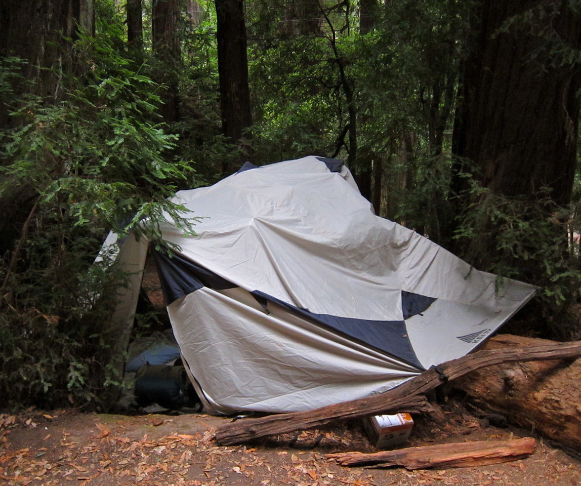 How to buy the best tent poles online. How to buy the best tent poles online.