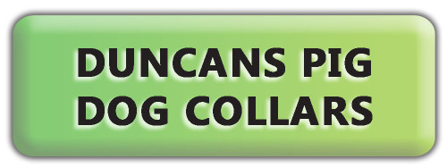 Duncans Pig Dog Collars
