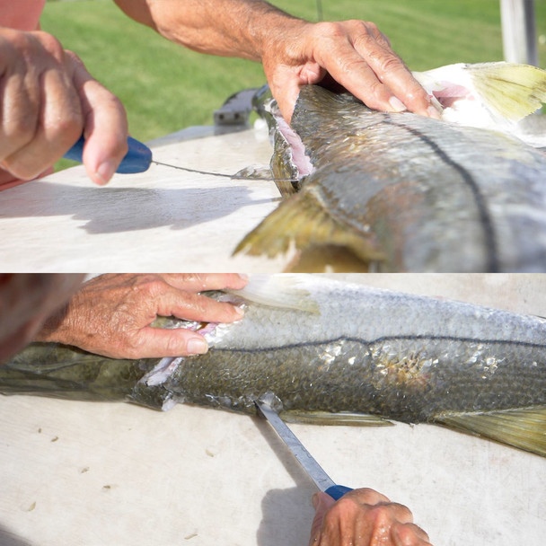 Cuda 6" AquaTuff Fillet Knife Cuda 6" AquaTuff Fillet Knife