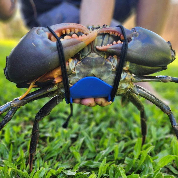 Krab King Orange Cuff Mud Crab Tie 3 Pack