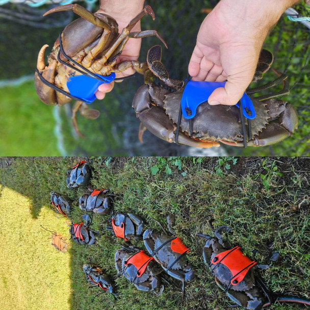 Krab King Orange Cuff Mud Crab Tie 3 Pack