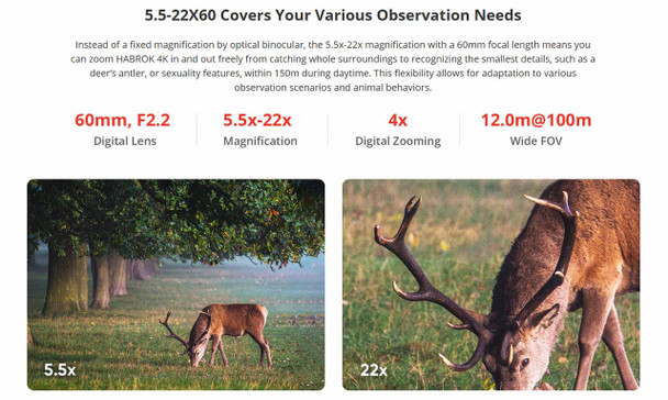 HIKMICRO Habrok HE25LN Digital & Thermal Binocular - Ex Demo
