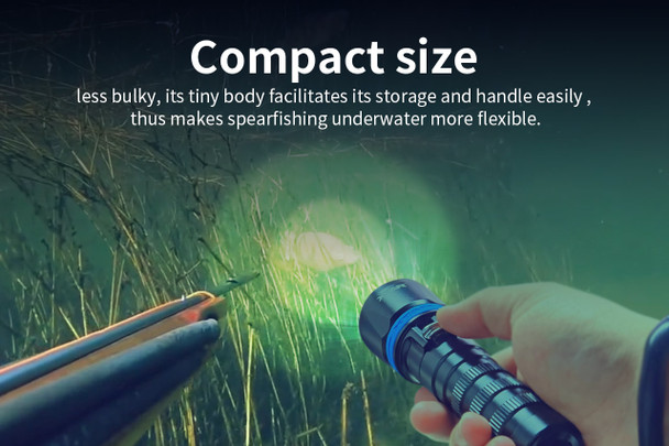 XTAR DS1 1000 Lumen Spearfishing Dive Torch Set
