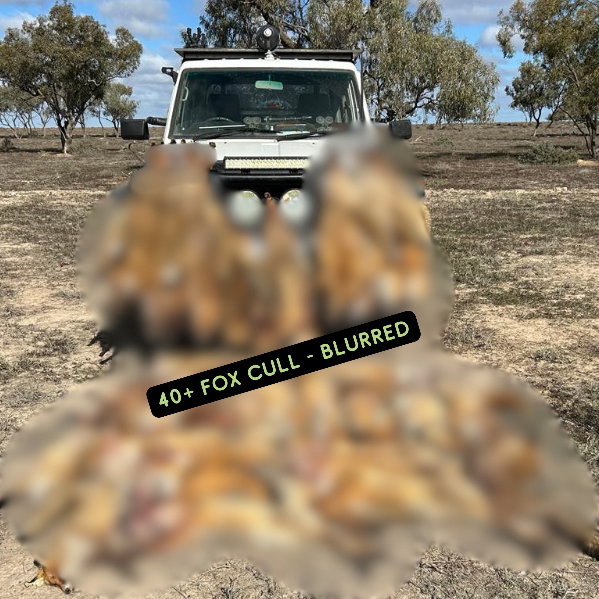 Customer setup photo