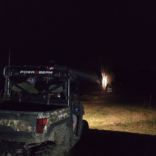 Lit paddock during recovery