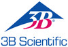 3B Scientific 3B Scientific