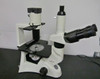 Accu-Scope Model 3032 Inverted Microscope