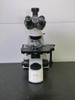 ~ VWR VistaVision Upright Compound Microscope