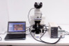 Nikon Eclipse E600 Microscope