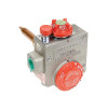 Water Heating Control - 38K Capacity, 1/2" Inlet Pipe