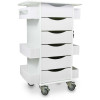 TrippNT-Core Locking 6 Drawer Lab Cart, 23"W x 19"D x 35"H, White