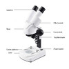 XDDWD Children Microscope 20-40 x Magnification Optical Glass Binocular Student Microscope, Kids & Students, Amateurs Microscope Magnification Instruments, Kids Microscope