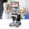 Kernel KN-2200A Medical equipment New Technic Video Colposcope Sony Camera Colposcope price