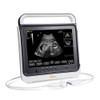 Veterinary ultrasound/laptop portable ultrasound/veterinary ultrasound scanner