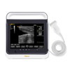 Veterinary ultrasound/laptop portable ultrasound/veterinary ultrasound scanner