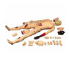 BIX-H111 full functions trauma nursing manikin