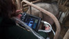 PL-3018V Veterinary Handheld Ultrasound Scanner