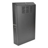Tripp Lite Srwf6U36 6U Vertical Wall Mount Rack Enclosure Cabinet Server Depth