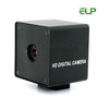 5Megapixel Auto Focus USB camera 5Megapixel CMOS sensor for high quality image