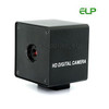 5Megapixel Auto Focus Full HD mini USB camera for Low power consumption