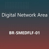 Br-Smedflf-01 Two Domain To Full Fabric (Ff) Upgrade License, Permanent