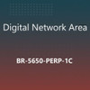 Br-5650-Perp-1C Perpetual Software License,  Permanent/Unlimited/Full