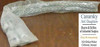 1 Hubble 003-01-014 Rot Eye Pull Grip Nip