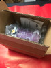 C7012e1278 Dynamic Self Check Purple Peeper Uv Rectification Flame Sensor
