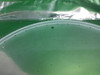 Lam Research 715-140126-001 Middle Baffle - New Open Box