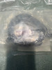 Applied Materials 0150-78409 Cable Assembly Mirra 300mm