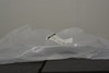 Lam Research 716-026652-002 Edge Ring 200-300mm