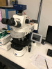 Carl Zeiss Axio Imager.m1m Precision Microscope 37081