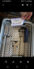 Stryker Orthopaedics Hip Navigation Instrument Tray Model 2124-3000
