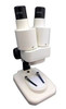 Ajax Scientific Stereo Microscope, 20X Magnification