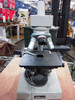 Nikon Monocular Microscope SC