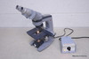 AO AMERICAN OPTICAL BINOCULAR MICROSCOPE
